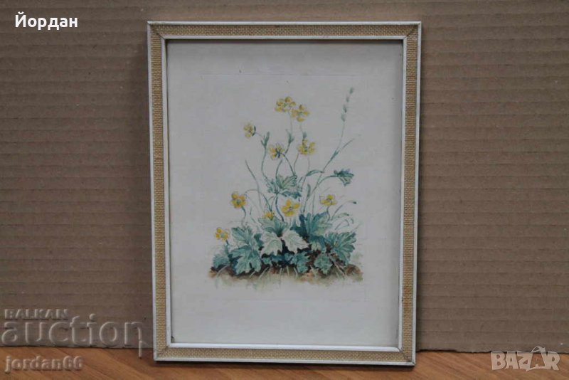 Рисунка с рамка с анти рефлексно стъкло, снимка 1