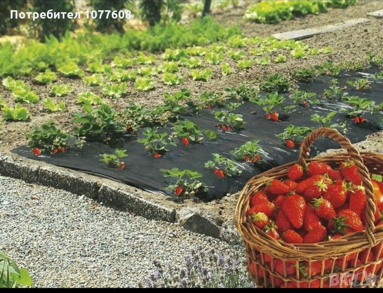 Найлон за ягоди, снимка 1