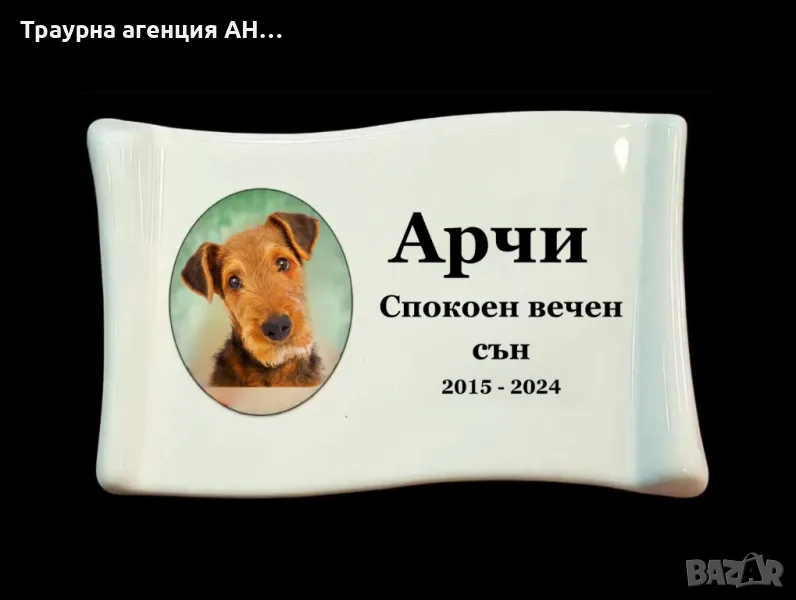 порцеланови снимки за хората и животните , снимка 1