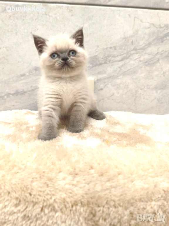 Последното момиченце не е красива тя е уникална, снимка 1