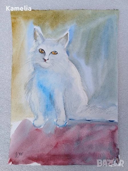 Картина: "Бялото коте" - акварел , снимка 1