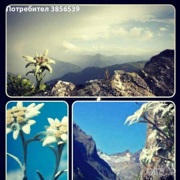 Почистване на входове, снимка 1