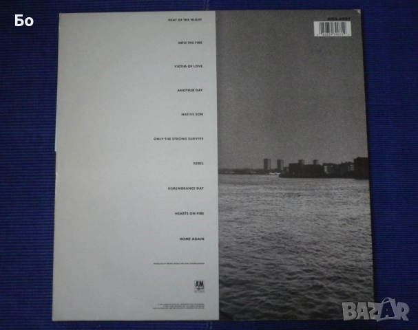 грамофонни плочи Bryan Adams, снимка 6 - Грамофонни плочи - 52473577