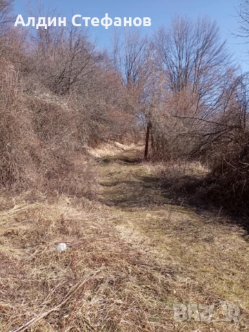 село Заселе Продавам голям парцел, снимка 4 - Парцели - 40489216