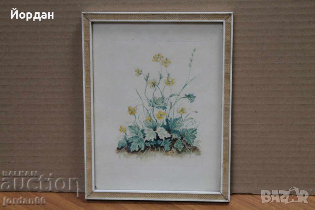 Рисунка с рамка с анти рефлексно стъкло