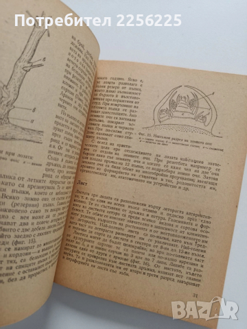 Практическо лозарство и винарство, снимка 2 - Специализирана литература - 53922704