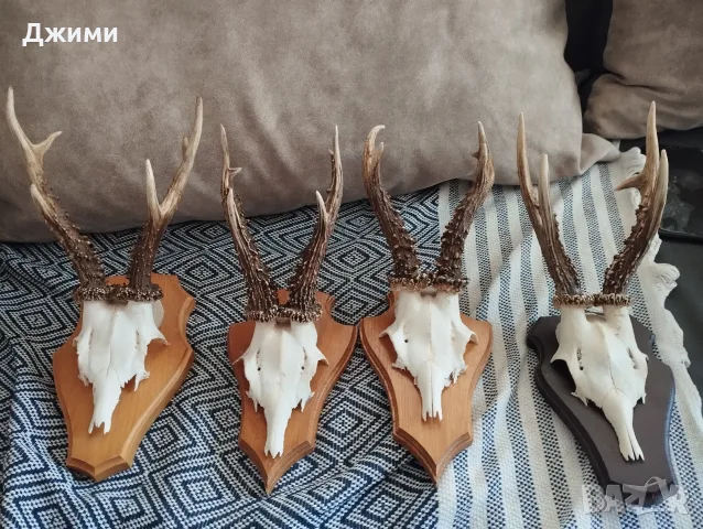 много красиви сръндаци