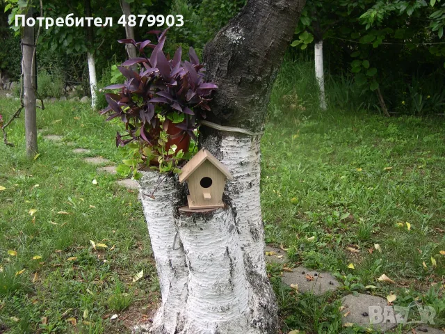 къщички за птици, снимка 6 - За птици - 56220082
