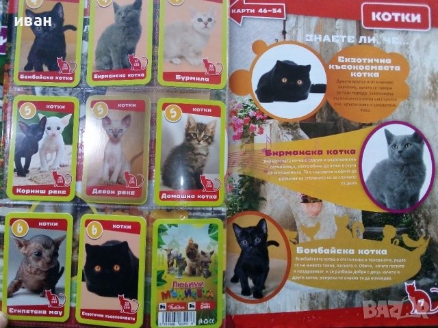 Албум с карти "Любими мъничета" Пикадили, снимка 10 - Колекции - 38709028