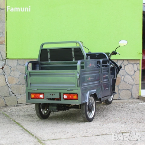 Електрическа товарна триколка GoPro 2000W Сива, снимка 3 - Мотоциклети и мототехника - 54145006