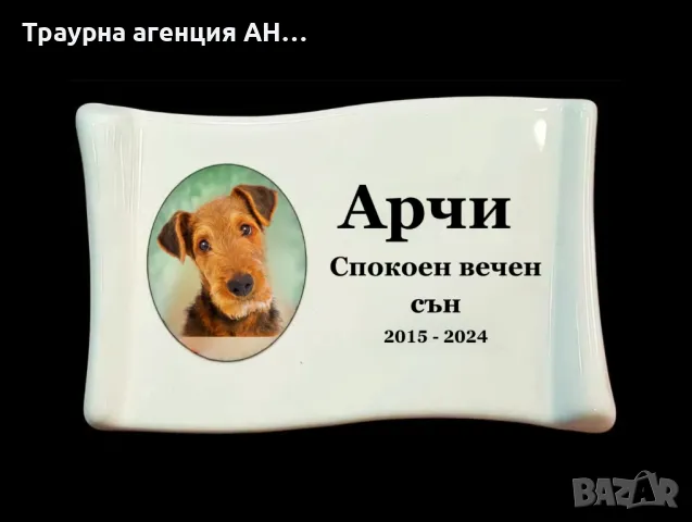 порцеланови снимки за хората и животните 