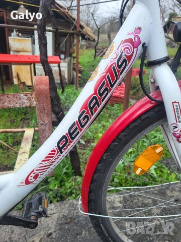 Дамски Велосипед, колело Pegasus 24 цола, снимка 5 - Велосипеди - 54033480
