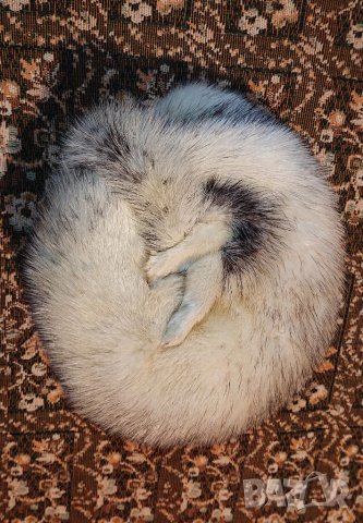 Дизайнерска шапка - Raija Makinen , снимка 4 - Шапки - 38326167