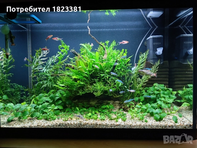 Напълно оборудван и работещ аквариум , снимка 11 - Аквариуми - 49185034