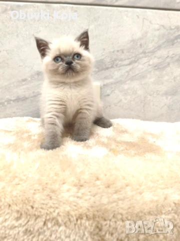 Последното момиченце не е красива тя е уникална