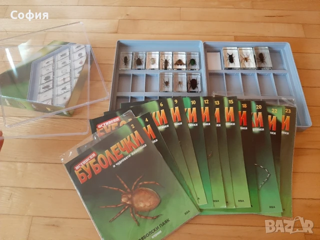 Колекция истински буболечки на Деагостини