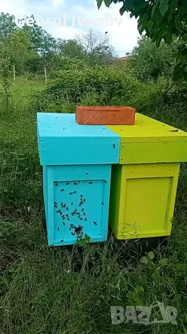 Нуклеуси от фибран , снимка 4 - За пчели - 49670968