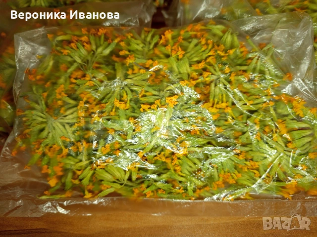 Чай от Родопите , снимка 2 - Хранителни добавки - 54339602