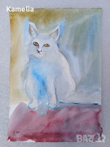 Картина: "Бялото коте" - акварел 