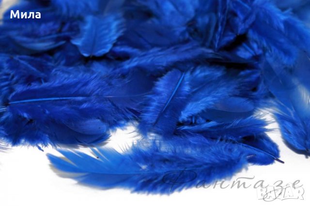 Пера, снимка 10 - Декорация за дома - 31498455