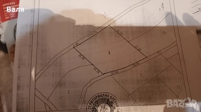 ,Продавам черешови насаждения в с.Лелинци, снимка 5 - Земеделска земя - 53954905