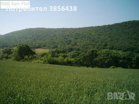 FOR SALE 9500 Sqm  Regulated Building Plot Near Sunny Beach Bulgaria, снимка 2 - Земеделска земя - 42386137