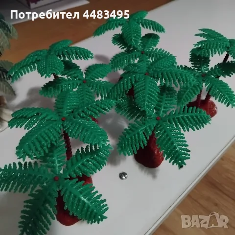 Декоративни палми