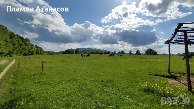 ЕЛЕНА общ. Велико Търново 8 000 кв.м. Равен парцел с лице на 3 пътя , снимка 6 - Земеделска земя - 52881114