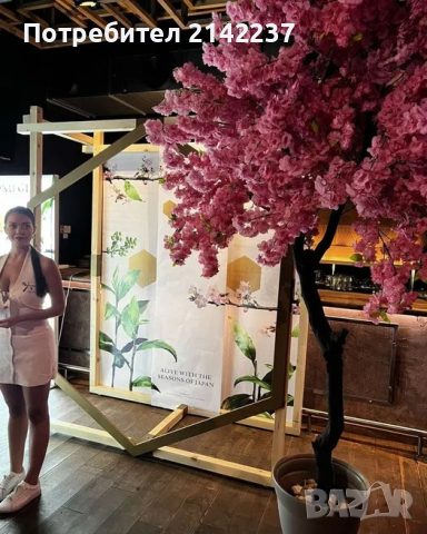 Изкуствени дръвчета , снимка 4 - Изкуствени цветя - 44702155