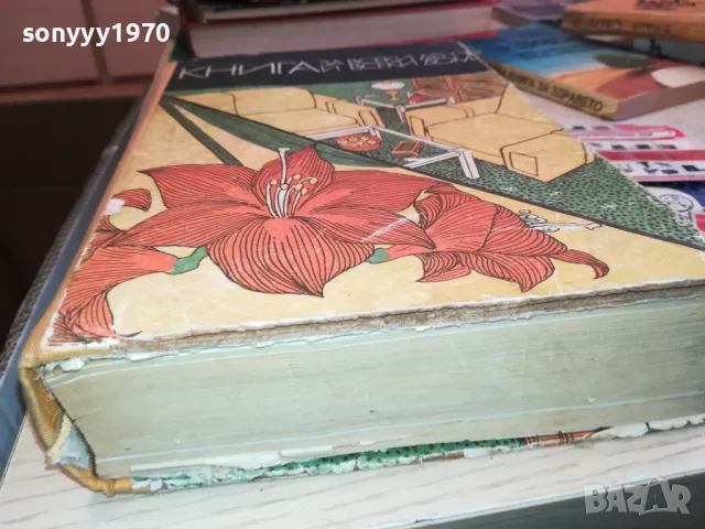 КНИГА ЗА ВСЕКИ ДЕН ДОМ-ДЕБЕЛА СТАРА 3112241650, снимка 11 - Художествена литература - 48506636