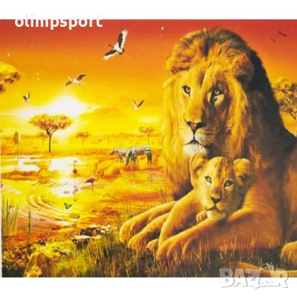 Комплект за рисуване по номера. 27014412 