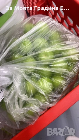 Зелени Сливи в тарелка 1кг., снимка 2 - Градински цветя и растения - 54312415