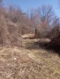 село Заселе Продавам голям парцел, снимка 4