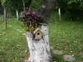 къщички за птици, снимка 6