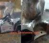 Заваряване на Чугун. , снимка 10