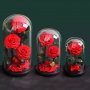 3 броя Луксозна вечна роза в стъкленица Beauty Roses, Червен, снимка 8