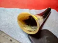 Стар БИВОЛСКИ РОГ РЪЧНО ГРАВИРАН с ПАЛМИ За КОЛЕКЦИЯ ДЕКОРАЦИЯ ДОМАШНА УКРАСА 47836, снимка 8