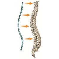 Космодиск класик / Лента против болки в гърба, снимка 2 - Други - 31186929