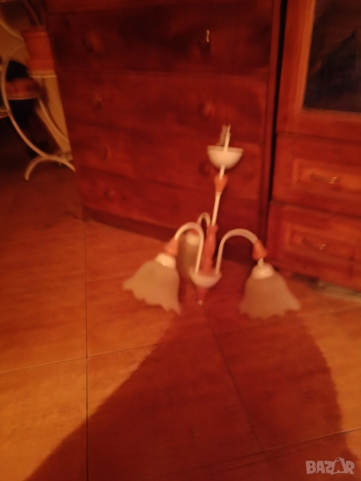 полилей, снимка 1