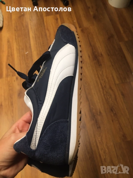 Puma tahara, снимка 1