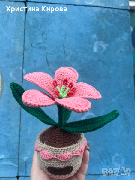 Плитено на една кука цвете в саксия , снимка 1