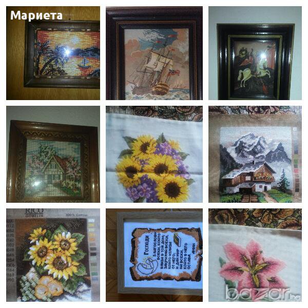 слънчогледи в Гоблени в гр. Горна Оряховица - ID12346237 — Bazar.bg