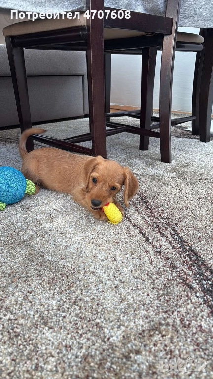 Подарявам, снимка 1