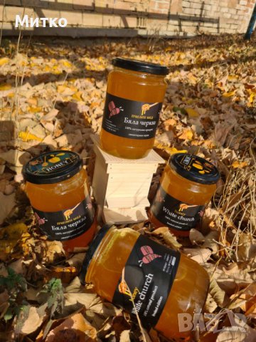 Пчелен мед,пити с мед   - реколта 2023, снимка 1 - Пчелни продукти - 18858767
