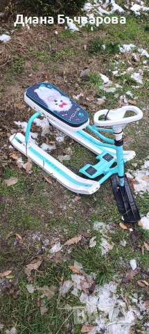 Шейна, снимка 2 - Зимни спортове - 52923387