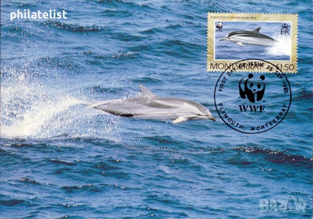 Монтсерат 1990 - 4 броя Карти Максимум - WWF