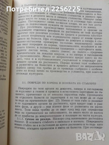 Ръководство по растителна защита за зеленчукопроизводителя, снимка 4 - Специализирана литература - 50611780