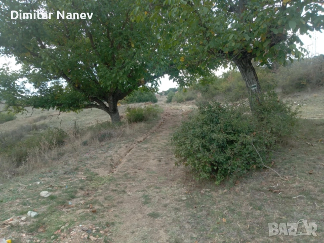 Продавам нива, с. Змейово, област Стара Загора, снимка 8 - Земеделска земя - 52054903