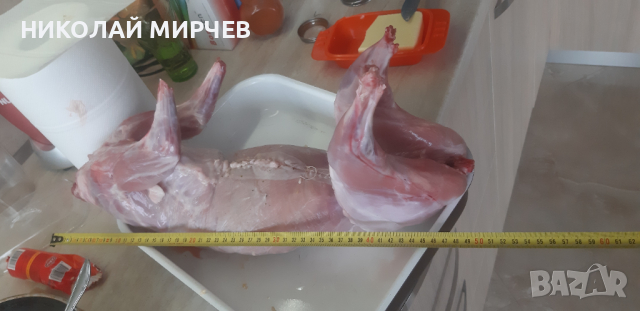 Белгийски великани, снимка 10 - Други животни - 36530605