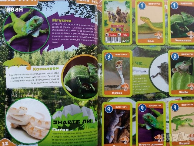 Албум с карти "Любими мъничета" Пикадили, снимка 15 - Колекции - 38709028